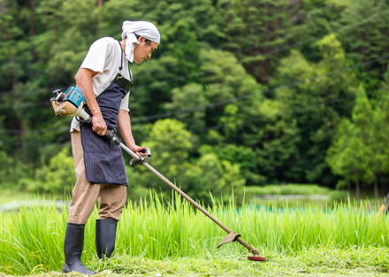 草刈り